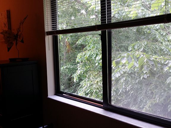 Treed backyard - Master BR