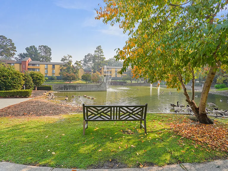 Americana Apartments — Photo 18