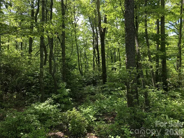 0 Millard Xing #15, Hendersonville, NC 28792