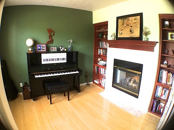 See thru fireplace in Den