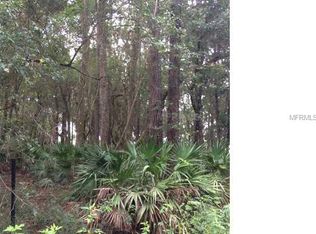 395 Lake Shore Dr, Pierson, FL 32180