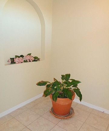 2nd image of 906 Hacienda Cir