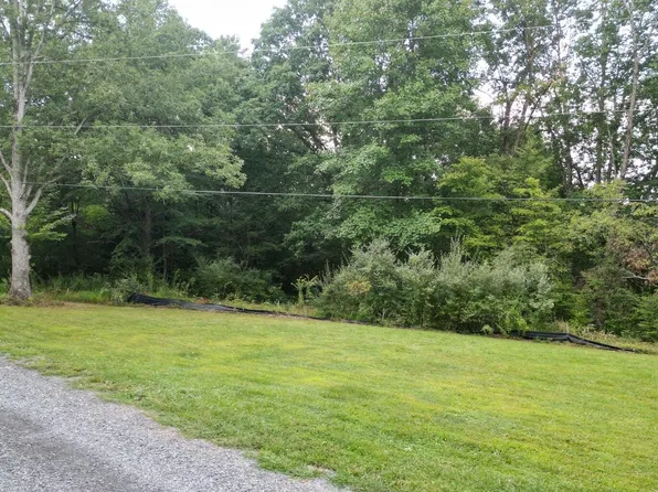 242 Falcon Dr, Summersville, WV 26651