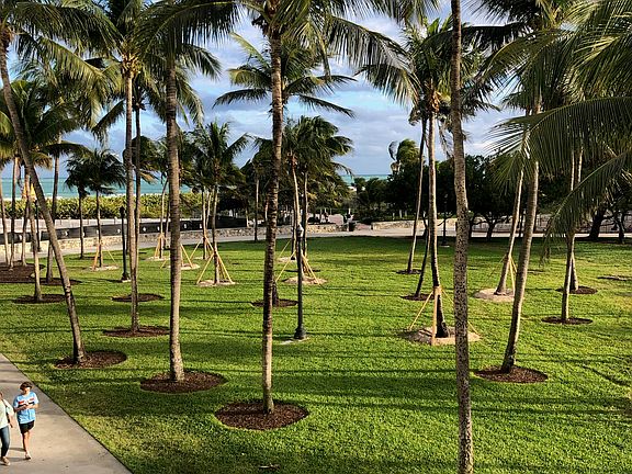 3rd image of 301 Ocean Dr APT 202