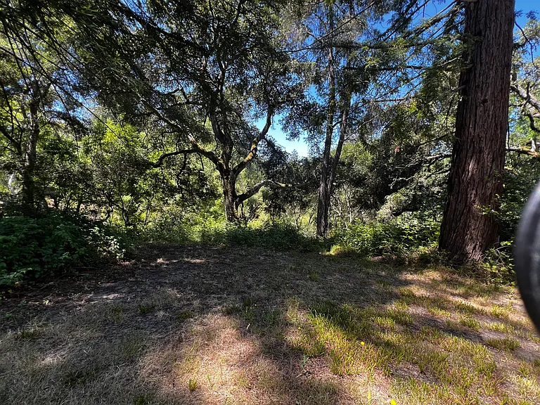 3952 Harrison Grade Rd — Photo 14