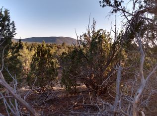 LOT 89 Ricks Rd, Seligman, AZ 86337