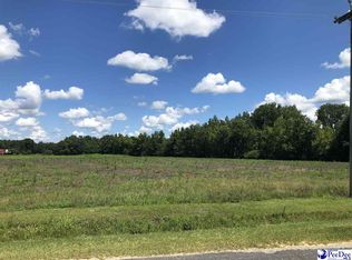 4351 Cato Rd, Effingham, SC 29541