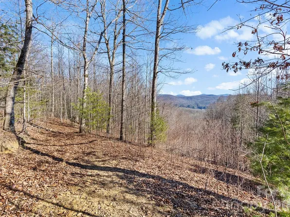 0 Pinnacle Mountain Rd #3-4, Zirconia, NC 28790