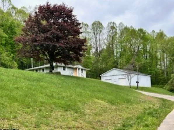 643 Festus Ridge Rd, Worthington, WV 26591
