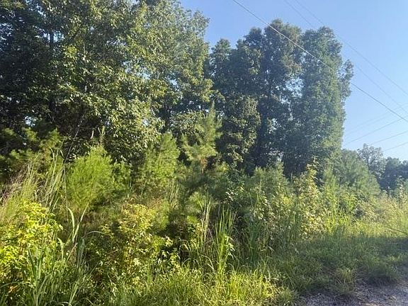 5th image of TRACT 1 Belew Hollow Rd