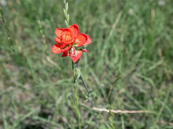 22165 County Road 1199, Bullard, TX 75757
