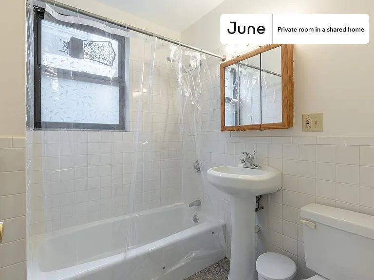 41 Egremont Rd #D — Photo 12
