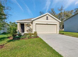 10849 Trailing Vine Dr, Tampa, FL 33610