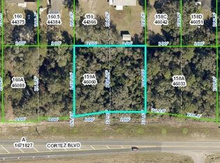 Cortez Blvd, Dade city, FL 33523