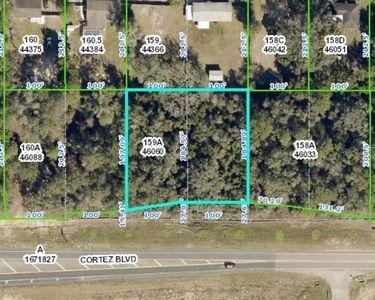 Cortez Blvd, Dade city, FL, 33523