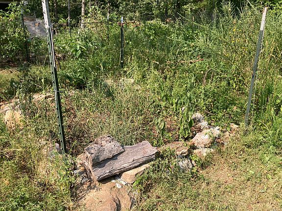 3rd image of 17530 Highway Y Lot M