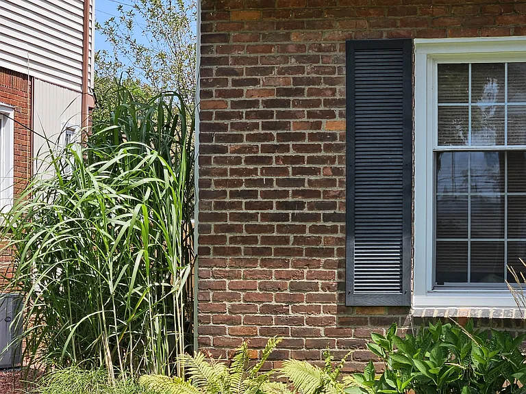 Left Sdie Privacy Foliage