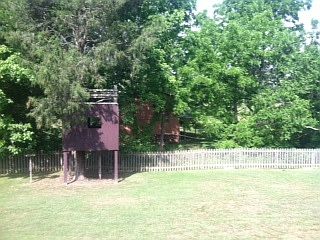 Nice back yard & treehouse 