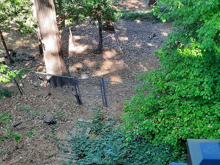 fenced back yard.
