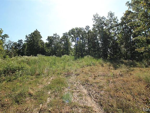 6th image of 0 Coldwater Crk #Creek_lot-2