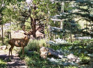 1301 Purgatory Ln, Evergreen, CO 80439