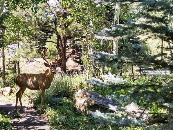 1301 Purgatory Ln, Evergreen, CO 80439