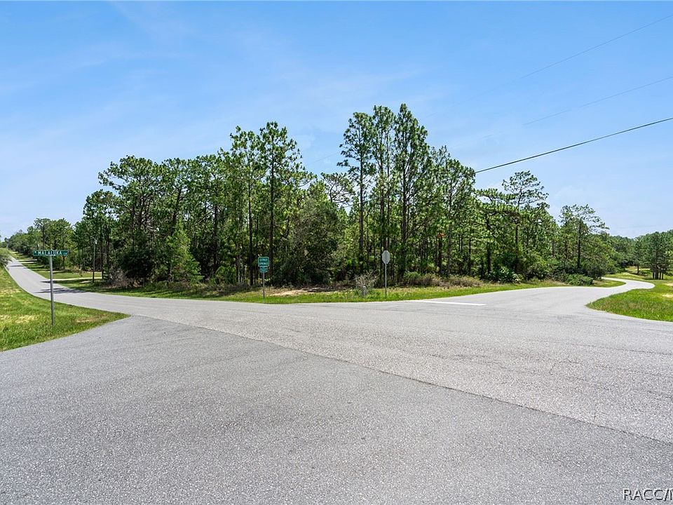 1st image of 4181 W Malaluka Cir