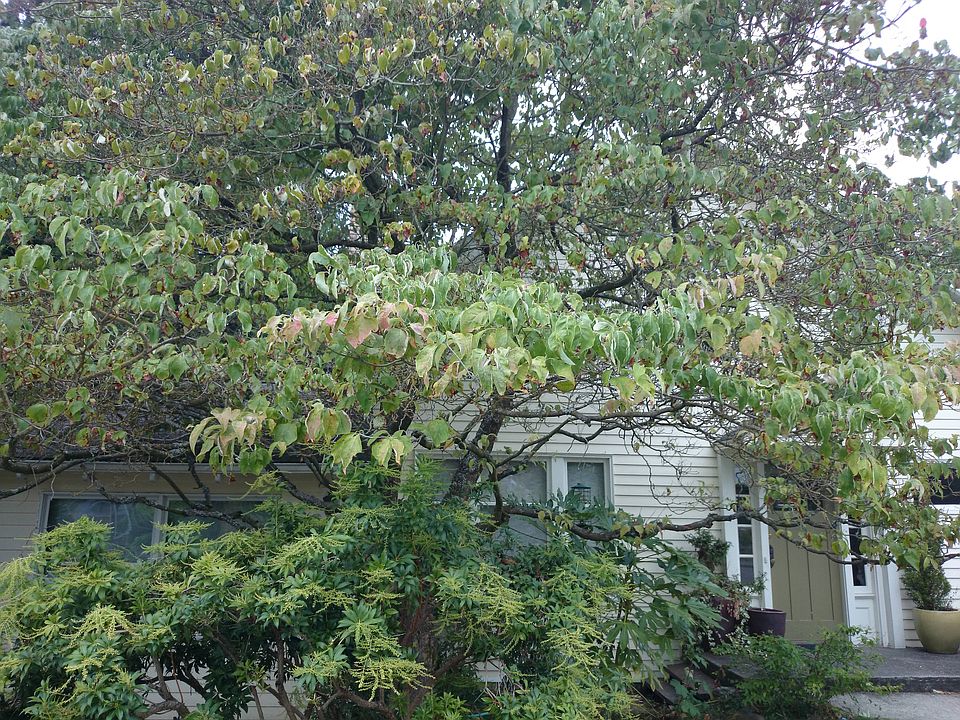 2nd image of 6823 29th Ave NE