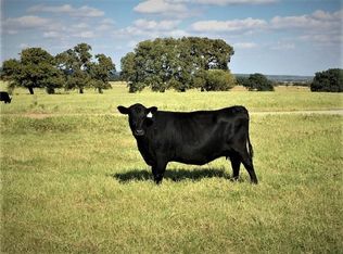 2578 County Road 318, Stephenville, TX 76401