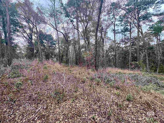 2nd image of 0 Stanton Rd