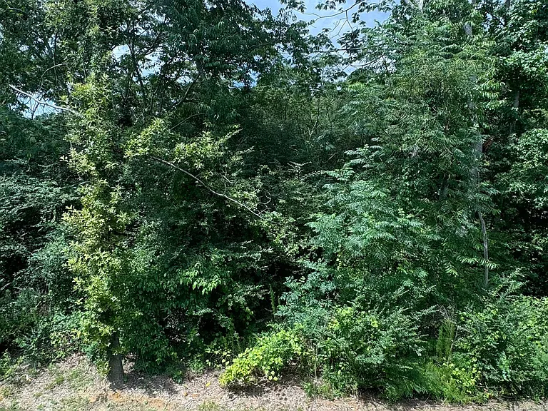 187 Peebles Dr — Photo 50