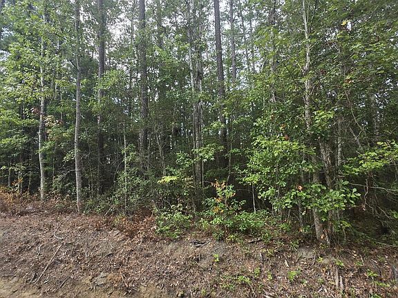 3rd image of 6 Myrtlewood Drive SW LOT 20