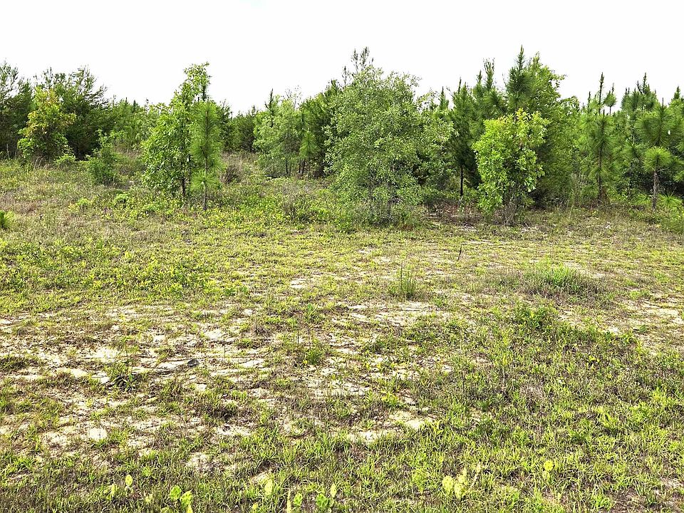 2nd image of NW Telogia Creek Ests W