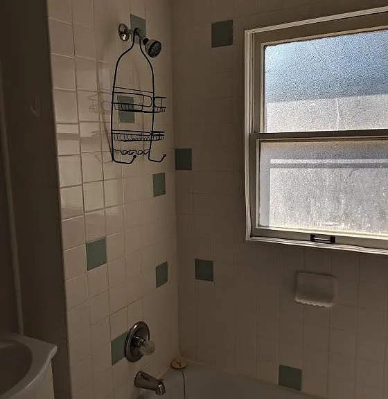 512 Oak St #5 — Photo 5