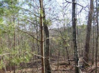 1548 Dorian Ct, Ranger, GA 30734