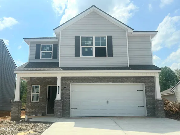 261 Chimney View Loop, Blountville, TN 37617
