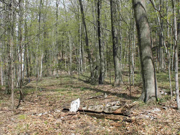 Spring Ln, Egg Harbor, WI 54209