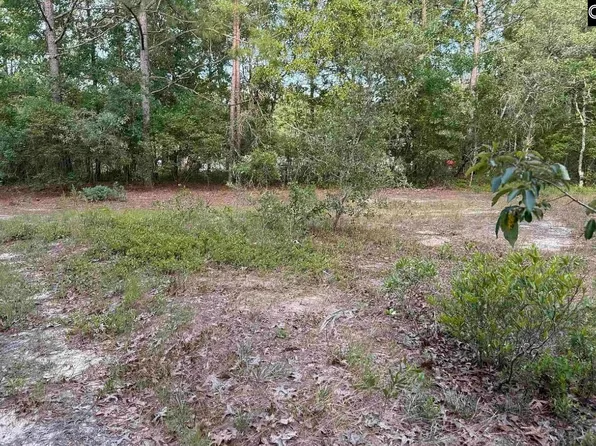 Russell Rowe Rd Parcel 2, Leesville, SC 29070