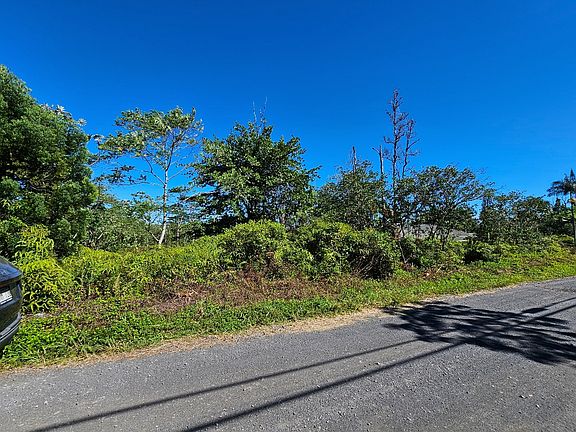4th image of 37th Ave Lot 60