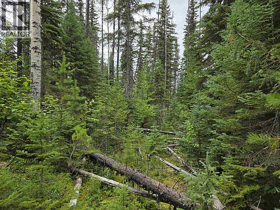 5th image of 5 Bowron Lake Rd