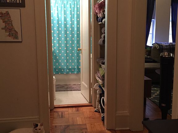 3rd image of 3270 N Lake Shore Dr APT 3F