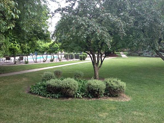 View to pool