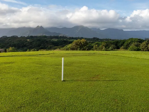 4132 Hihimanu Rd, Kilauea, HI 96754