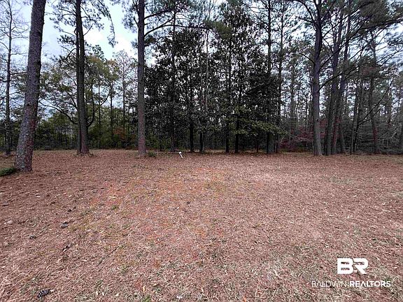 2nd image of 0 Chunchula Georgetown Rd