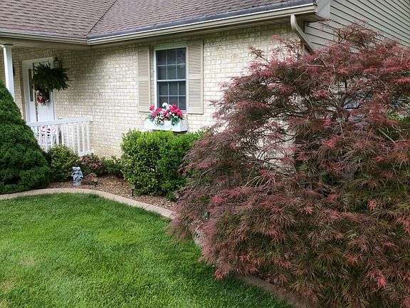 4th image of 10786 E Mary Ct