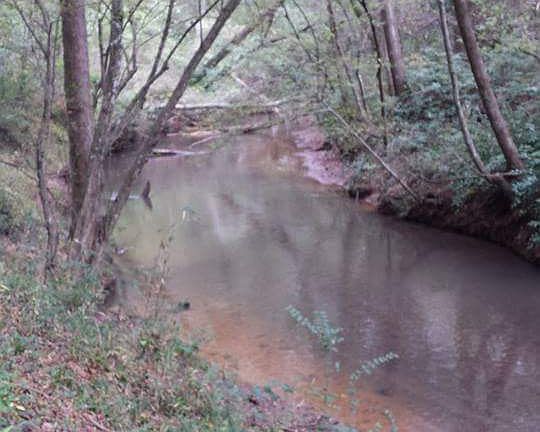 Nails creek in the back yard