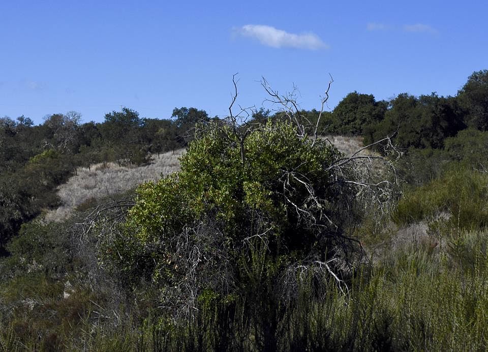 1st image of 120 Trampa Cyn