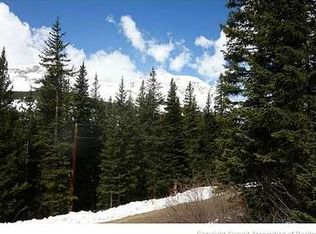 436 Goldfinch Pl, Alma, CO 80420