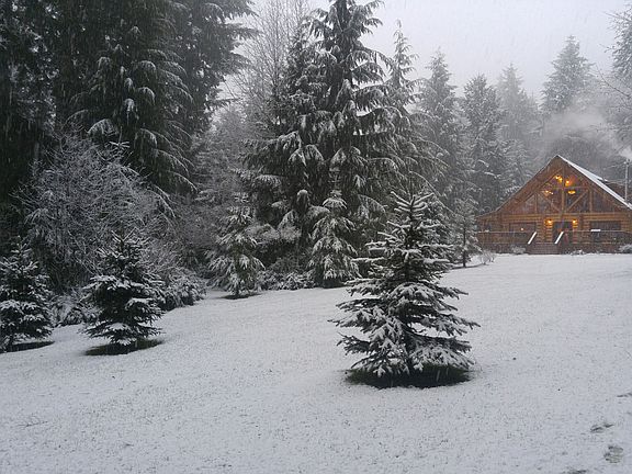 Live in a Christmas card!