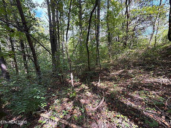 2nd image of 25 East Dr #25